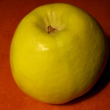 Malus domestica `Ormánsági káposztás alma`