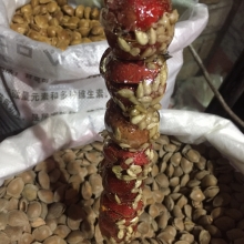 Crataegus pinnatifida `Big Golden Star`