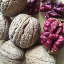 Juglans regia `Buzsáki Pirosbélű`