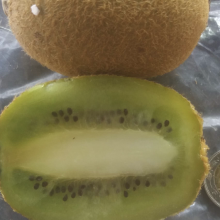 Actinidia chinensis, Actinidia deliciosa