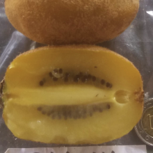 Actinidia chinensis, Actinidia deliciosa