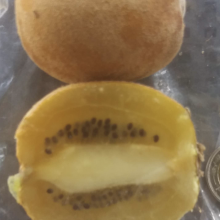 Actinidia chinensis, Actinidia deliciosa