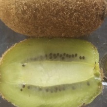 Actinidia chinensis, Actinidia deliciosa