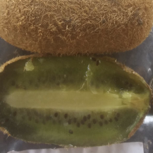 Actinidia chinensis, Actinidia deliciosa