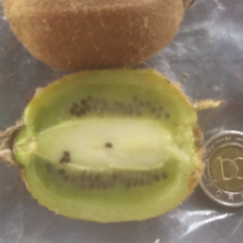 Actinidia chinensis, Actinidia deliciosa