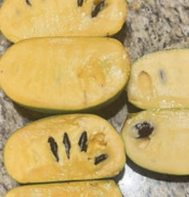 Asimina triloba `Nyomi`s Delicious` OLTVÁNY