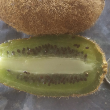 Actinidia chinensis, Actinidia deliciosa