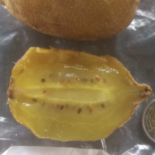 Actinidia chinensis, Actinidia deliciosa