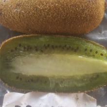 Actinidia chinensis, Actinidia deliciosa