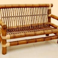 Phyllostachys parvifolia