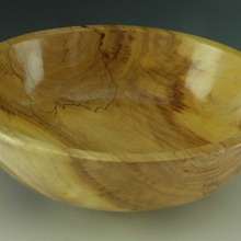 Cladrastis lutea (Syn.: Cladrastis kentukea)