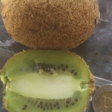 Actinidia chinensis, Actinidia deliciosa