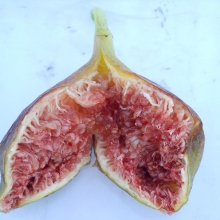 Ficus carica `Hosszú lila`