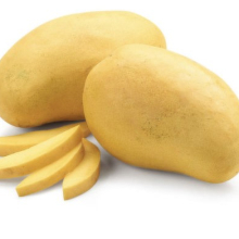 Mangifera indica `Ataulfo`