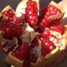 Punica granatum `Mollar de Elche`