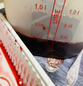 Punica granatum GRÁNÁTALMA GYÜMÖLCS, SAJÁT BIOTERMESZTÉSBŐL!