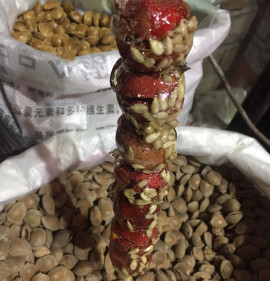 Crataegus pinnatifida `Amur`