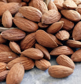 Amygdalus communis (Prunus dulcis) `Genco`