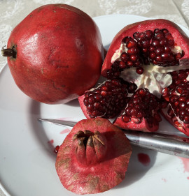Punica granatum `Qayim Anor`
