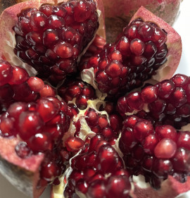 Punica granatum `Crisanzio`